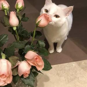 午夜宅男宅女在线
