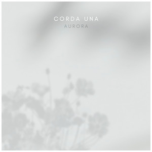 午夜宅男宅女在线
